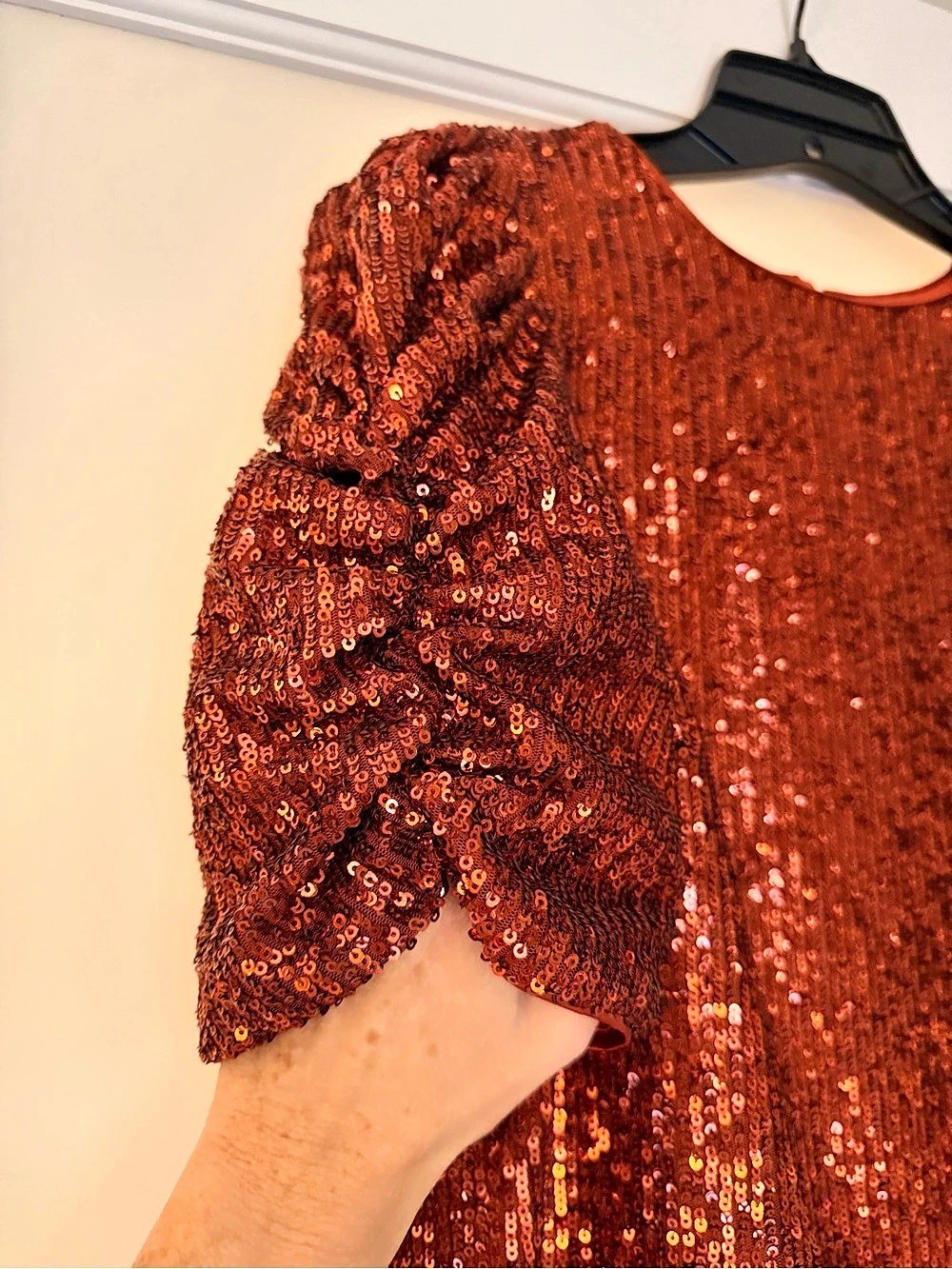 Anthropologie Sequin Puff Sleeve top Size 2 - Picture 4 of 4